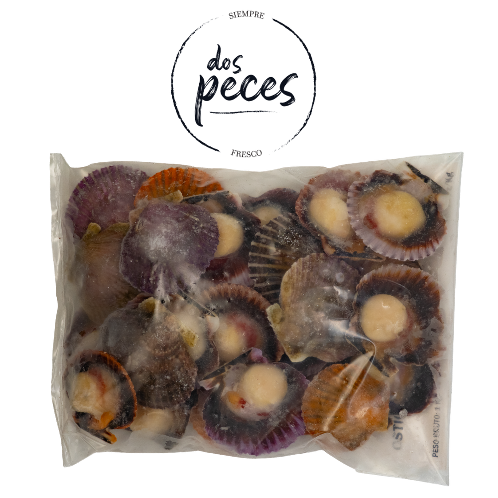 Ostión Tongoy · 1 kg